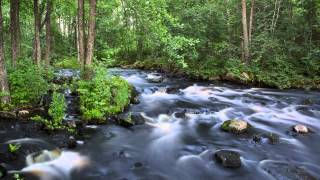 3 Hours of White Noise Bruit Blanc Relaxing and Soothing River Sound for Sleep and Concentration [upl. by Sorilda45]