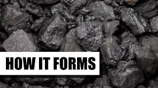 How Coal is Formed [upl. by Coppinger]