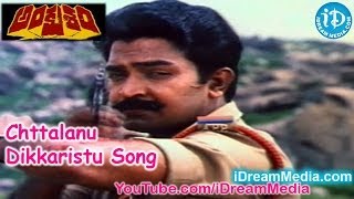 Ankusham Movie Songs  Chttalanu Dikkaristu Song  Rajasekhar  Jeevitha [upl. by Euqinehs13]