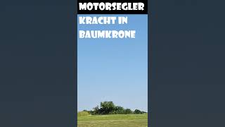 Motorsegler kracht im Baumkrone [upl. by Leirbag]