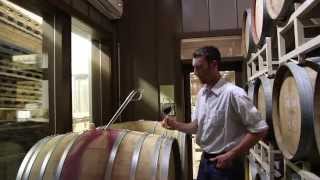 Fred Merwarth winemaker at Hermann J Wiemer vineyard in the Finger Lakes [upl. by Nimrahc]