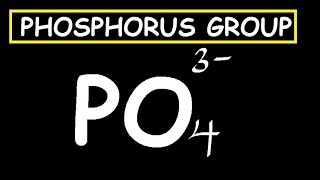 PHOSPHATE GROUP [upl. by Aihsrop477]