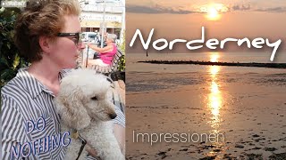 Norderney Impressionen eine Woche im August 2024 [upl. by Summons]