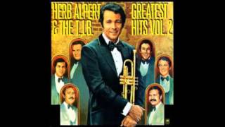 The Guys In Love With You  Herb Alpert [upl. by Gottwald]