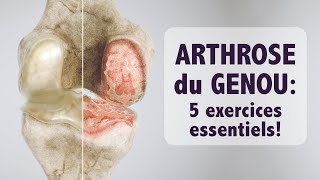 Arthrose du genou 5 exercices ESSENTIELS [upl. by Asimaj]