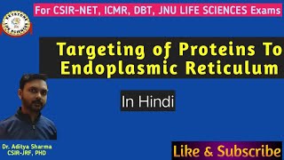 Targeting of Proteins to Endoplasmic Reticulum Secretary Pathway Part1  In Hindi By Dr Aditya [upl. by Marsiella]