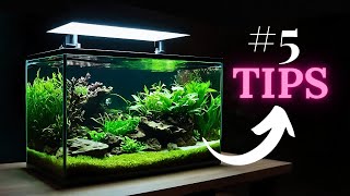 TOP 5 tips for setting up a low maintance planted aquarium [upl. by Horter315]