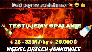 🔥 Jak sie pali Węgiel Orzech Jankowice Humor na 20000zł🤔sub🫣😉 [upl. by Niad]