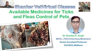 Ticks and Fleas Treatment of Dogs and Cats I Dr Shanker Singh [upl. by Janene313]