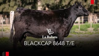 Remate La Rubeta 2024 Rp 8648 [upl. by Ahsenahs79]