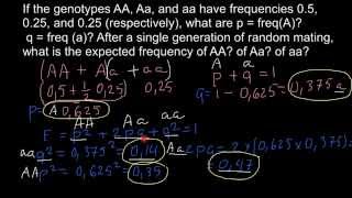 How to find expected genotype frequency Hardyweinberg formula explained [upl. by Kirima294]