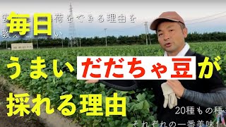 【うまいだだちゃ豆が採れる理由】枝豆農園じござえもん [upl. by Karolyn]