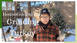 Homesteading 101 Grinding Turkey [upl. by Prestige401]