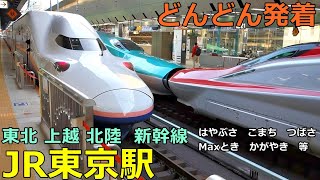 JR東京駅 東北新幹線🚃どんどん電車が発着！●はやぶさ、こまち、つばさ、Maxとき、かがやき 等（東北・北海道・秋田・山形・上越・北陸）【JR東日本】 [upl. by Evey344]