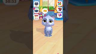 Love li pet la petlover talkingtom funny games [upl. by Arahsat968]