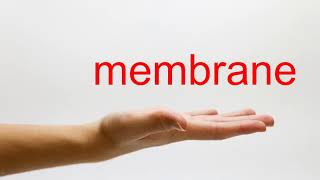 How to Pronounce membrane  American English [upl. by Nichy]