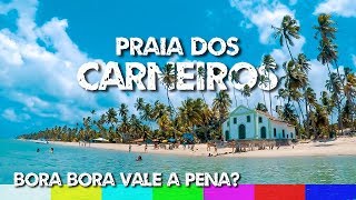 Praia dos Carneiros Bora Bora Vale a Pena  Pernambuco [upl. by Srevart922]