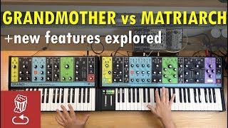 Matriarch vs Grandmother  New Features in Moog Matriarch [upl. by Mccartan]