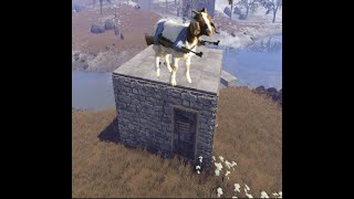 The Goats of OCE hit Stevious 2x Large once more  RUST wipe 14 3 24 [upl. by Annabela]