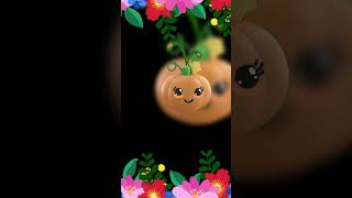 High contrast Baby Sensory Video For Toddlers  Hey Baby Bear Fruit Dance Video [upl. by Egedan]