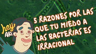 5 razones por las que tu miedo a las bacterias es irracional  Hey Arnoldo [upl. by Middle224]