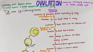 Ovulation  Easy Flowchart  Physiology [upl. by Argent]