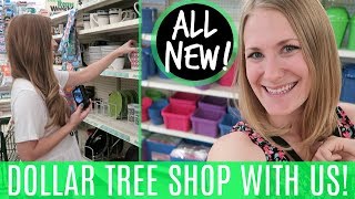 HUGE DOLLAR TREE SHOPPING VLOG 💚 Organization NEW Finds Tips amp More with LoveMeg💕 [upl. by Isla]