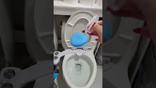 How To Use Toilet Bowl Cleaner [upl. by Ennaeel]