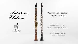 F Arthur Uebel Superior Plateau Bb Clarinet in Grenadilla and Mopane [upl. by Kristin817]