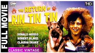 The Return Of Rin Tin Tin  1947 l Hollywood Adventure Hit Movie l Rin Tin Tin III  Donald Woods [upl. by Reddin]