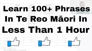 How to say 100 sentences in te reo Māori  MAORI LANGUAGE LESSON FOR BEGINNERS [upl. by Ssur]