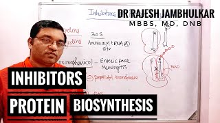 8 Inhibitors of Protein Biosynthesis [upl. by Selfridge230]