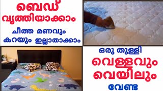 How to Clean A Mattress Clean My Space [upl. by Wadleigh]