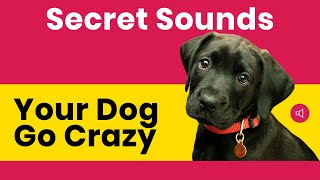 Secret Sounds  Your Dog Go Crazy [upl. by Randolph]