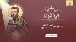 أصحاح 02  إنجيل لوقا مرتل  الكتاب المقدس المسموع  برسوم القمص اسحق [upl. by Hyland]