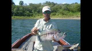 Arenal Sport Fishing Tours Tircio Hidalgo [upl. by Finnegan]