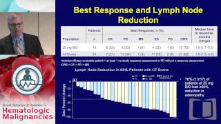 Kinase Inhibitors and Immunomodulatory Drugs  What does the future hold for lymphomas [upl. by Ailyn]