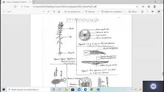 Biologie végétale les BRYOPHYTES 2 [upl. by Dolora]