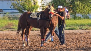 NUEVO PROSPECTO A RIVAL A VENCEREL MARIACHI VS EL PADRINO [upl. by Leor663]