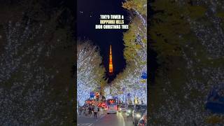 TOKYO TOWER ROPPONGI HILLS DIOR CHRISTMAS TREE TOKYO CHRISTMAS MARKET 2023 [upl. by Eserahs]