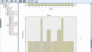 Introducción a SPSS básica [upl. by Suhpesoj948]