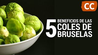 5 Beneficios de las Coles de Bruselas  Ciencia de la Comida [upl. by Mauer746]