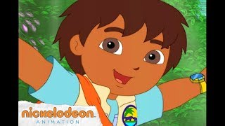 Go Diego Go Theme Song  Nick Jr  Nick Animation [upl. by Tirrag416]