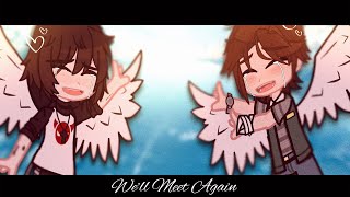 We’ll Meet Again  Steddie Angst  Stranger Things Gacha [upl. by Einnek]