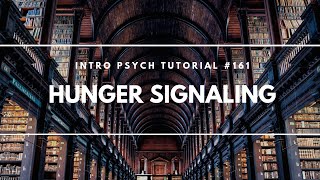 Hunger Signaling Intro Psych Tutorial 161 [upl. by Ytsrik]