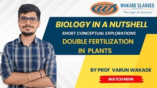 Double Fertilization in plants [upl. by Anivad]