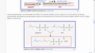 Scientific analysis report on Pinene an offflavor in mango juice [upl. by Yasnyl937]