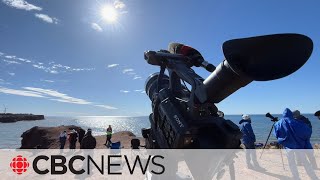 Travellers thrilled by onceinalifetime view of solar eclipse from tip of PEI [upl. by Adachi]