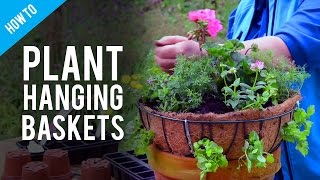 A Guide To Hanging Basket Plants amp Flowers [upl. by Greabe804]