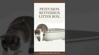 Choosing the Perfect Litter Box for Your Cat 7 Best Options [upl. by Blasius]